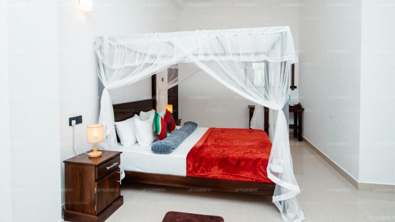Adams peak Inn