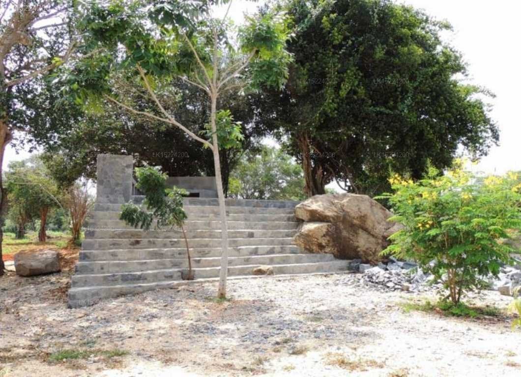 Koragaha Lodge, Tissamaharama