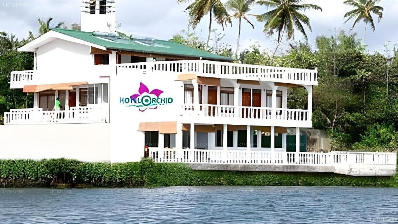 Hotel Orchid