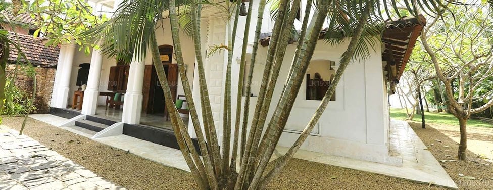 Amor Villa