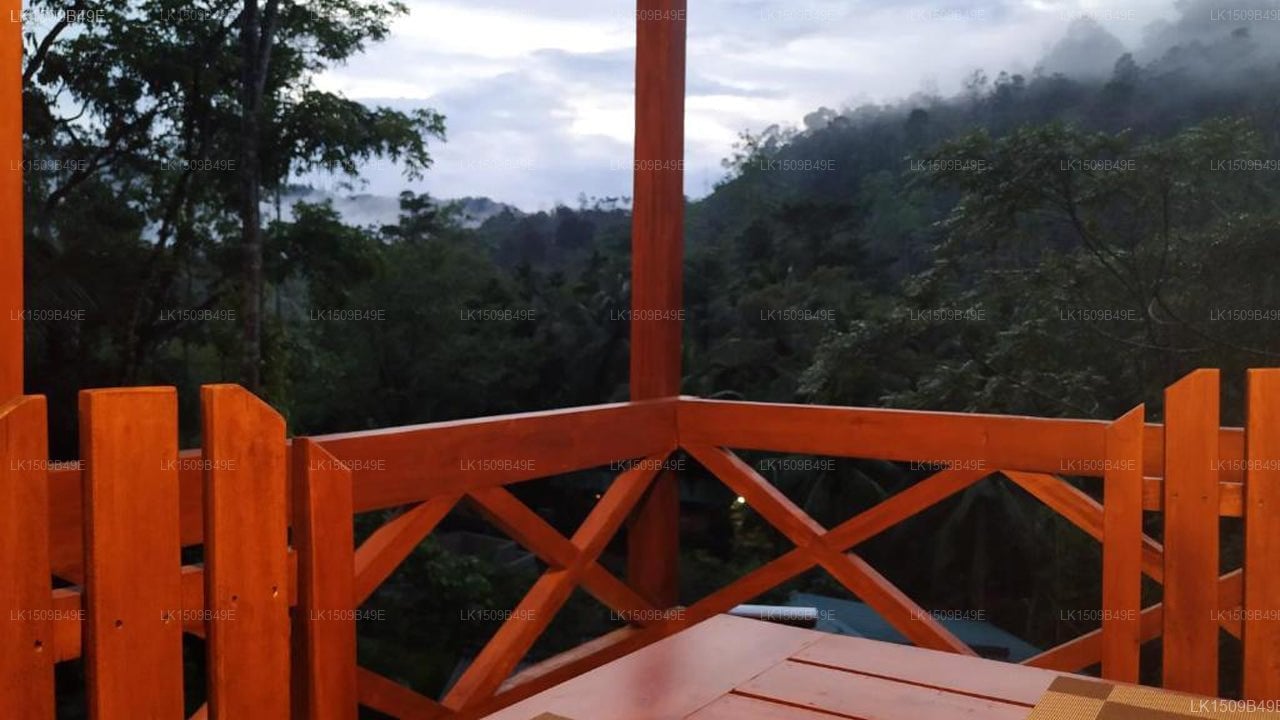 Sinharaja Forest Gate