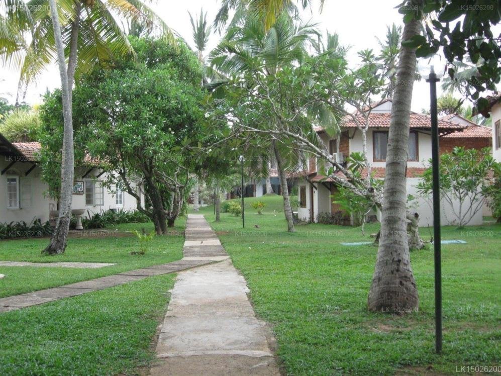 Kosgoda Beach Resort