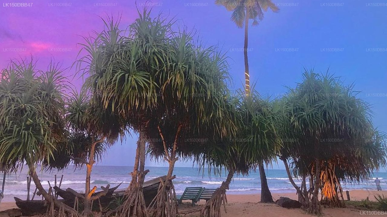 Moon Isle Beach Bunglow
