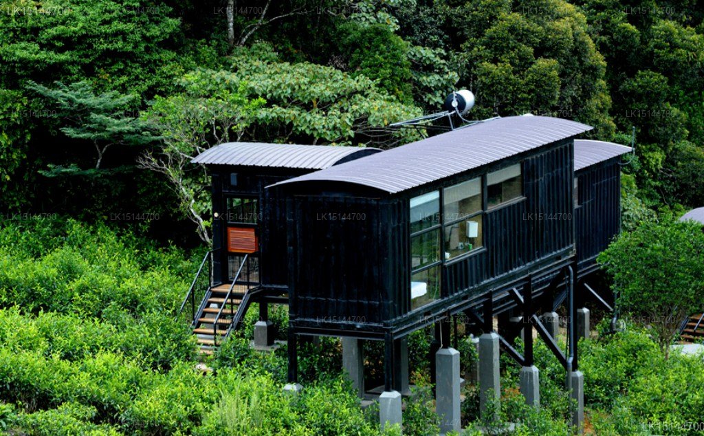 Rainforest Ecolodge