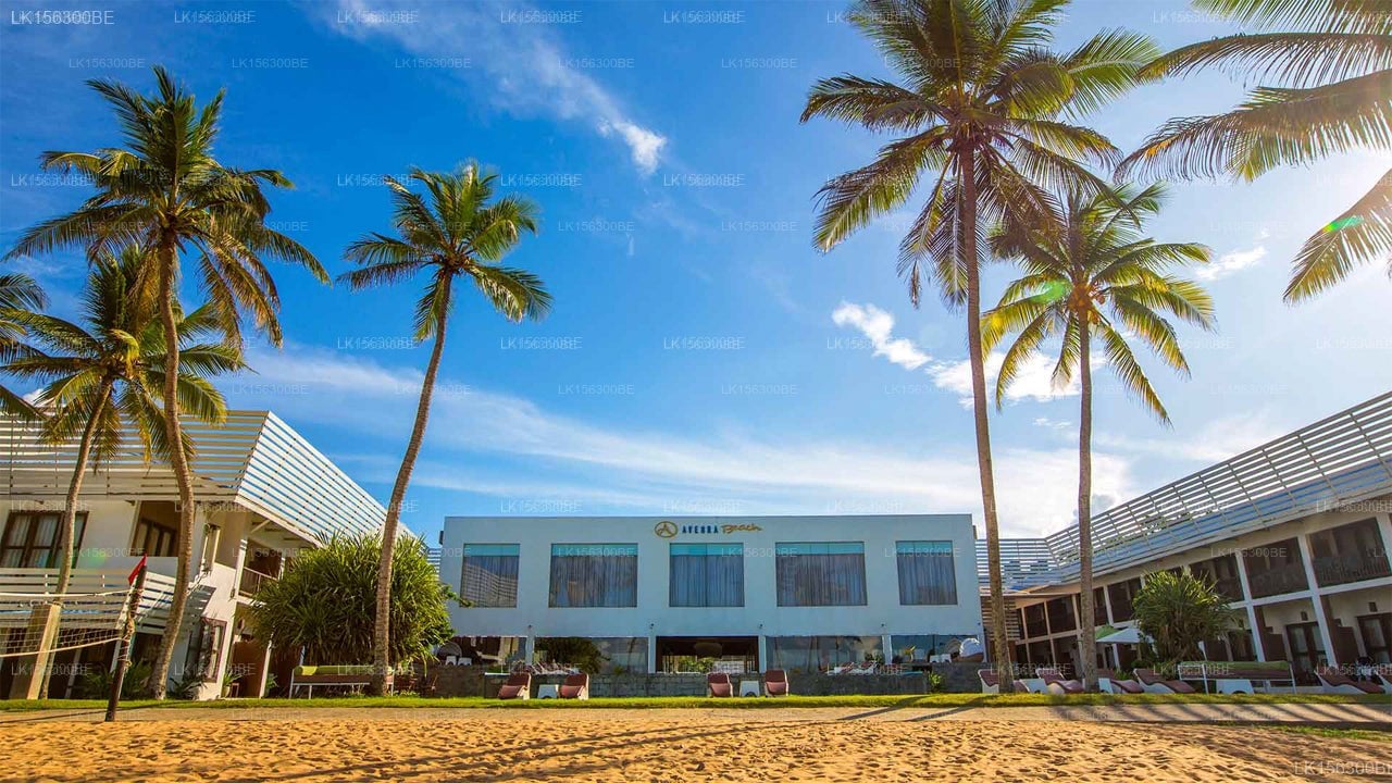 Avenra Beach Hikkaduwa
