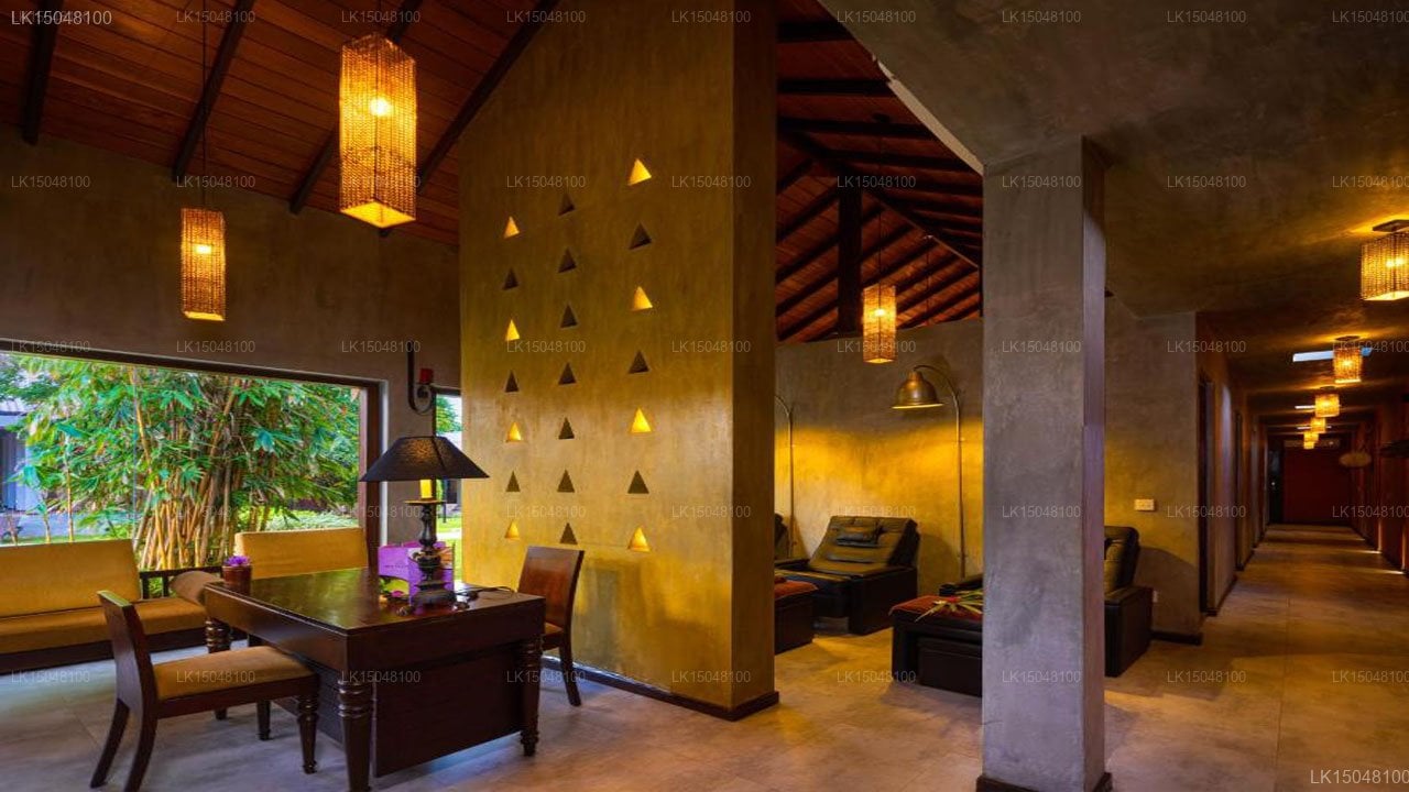 Chaarya Resort & Spa by Chandrika