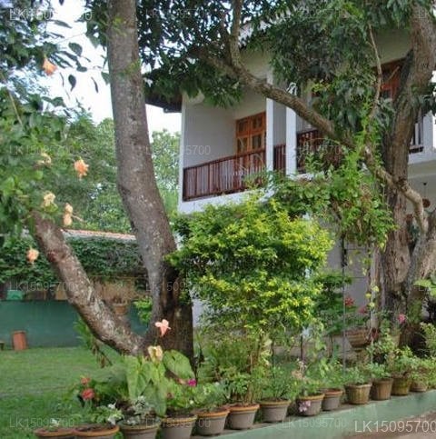 Little Paradise