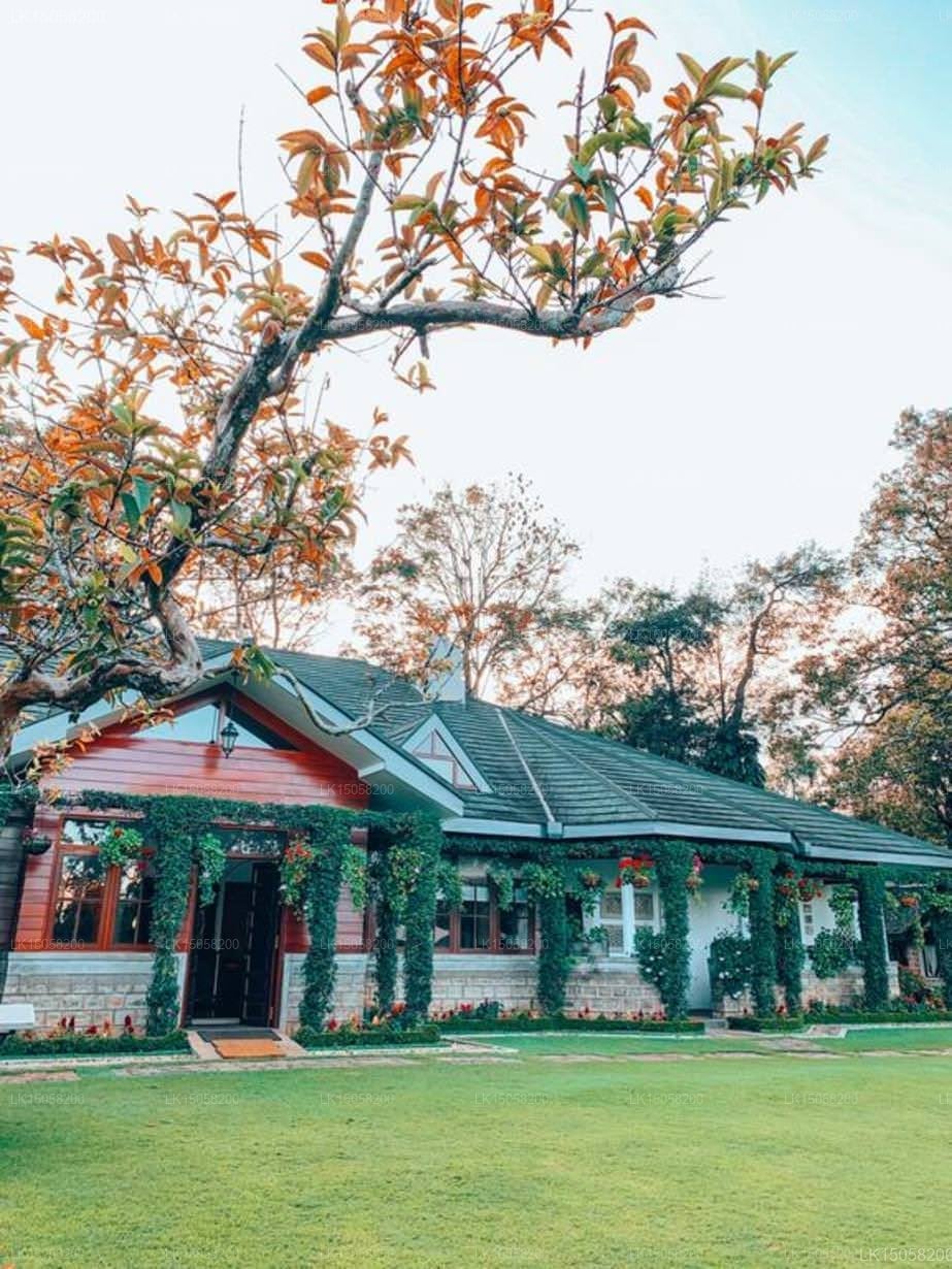 Stafford Bungalow