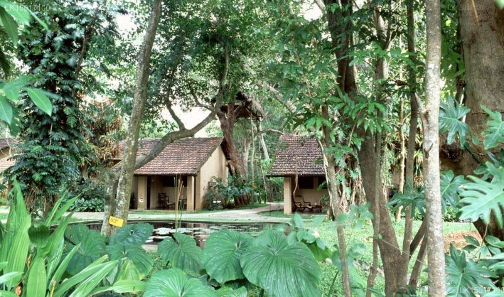Sigiriya Village