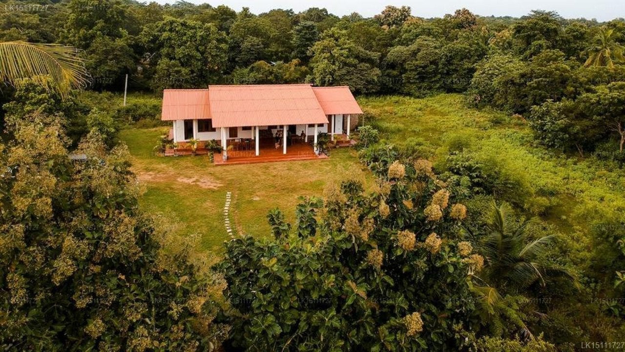 Ruins Villa Polonnaruwa