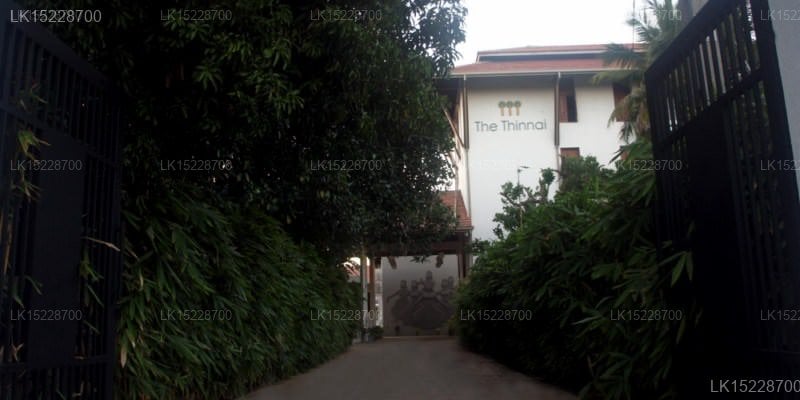 The Thinnai, Jaffna