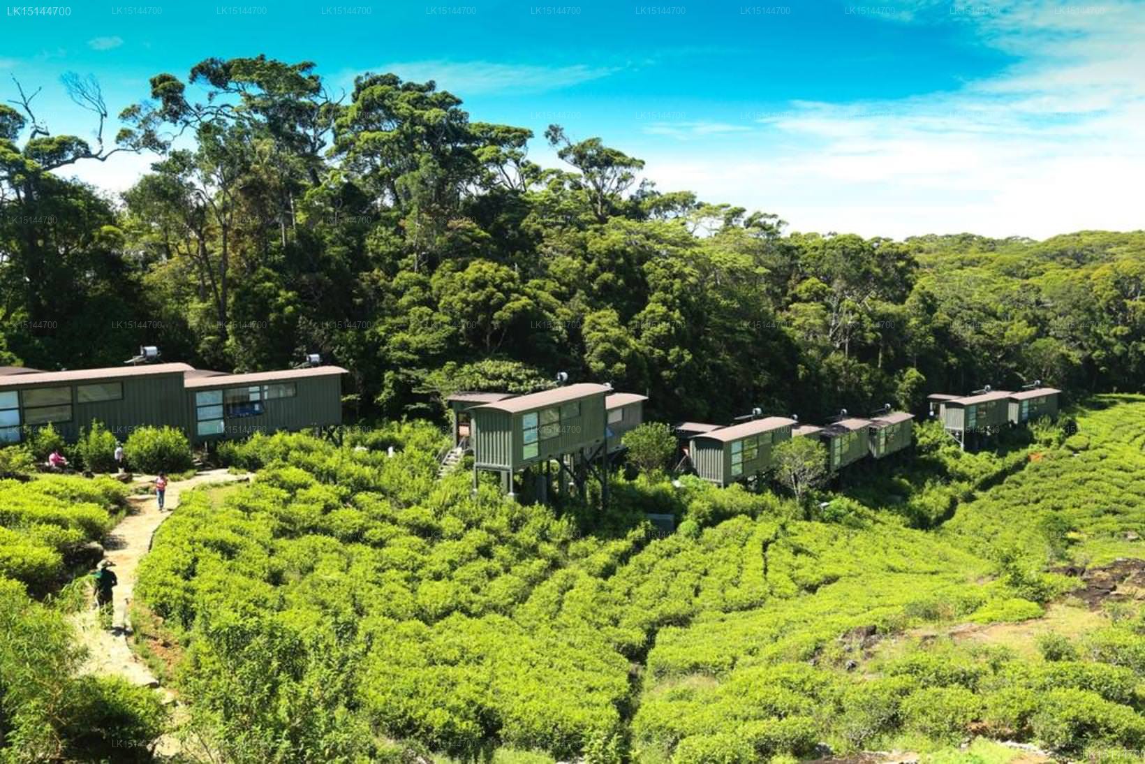 Rainforest Ecolodge