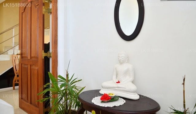 Frangipani
