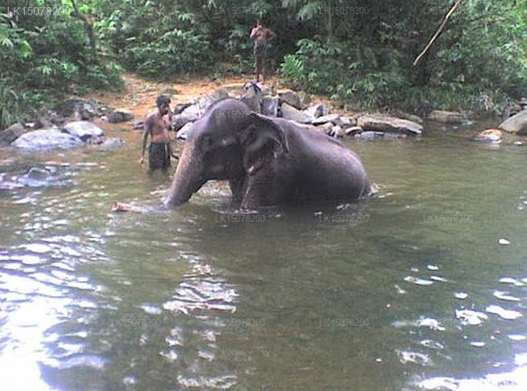 God Paradise Nature Resort