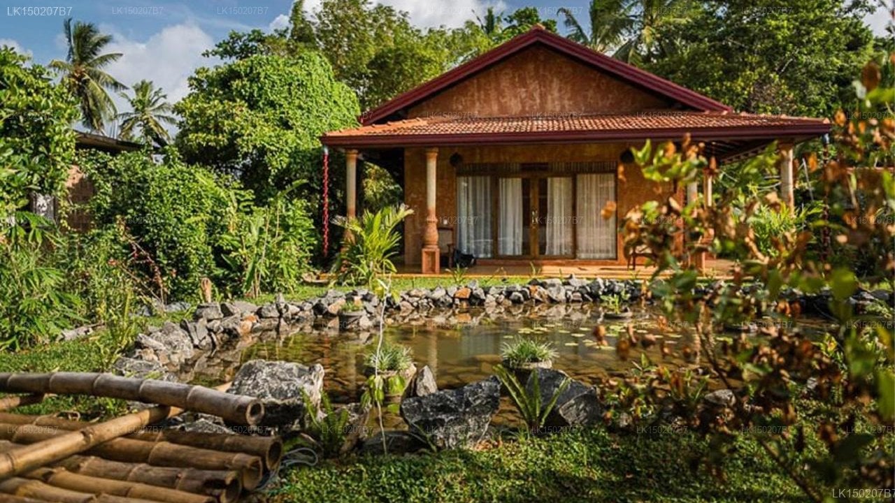 D Canal House