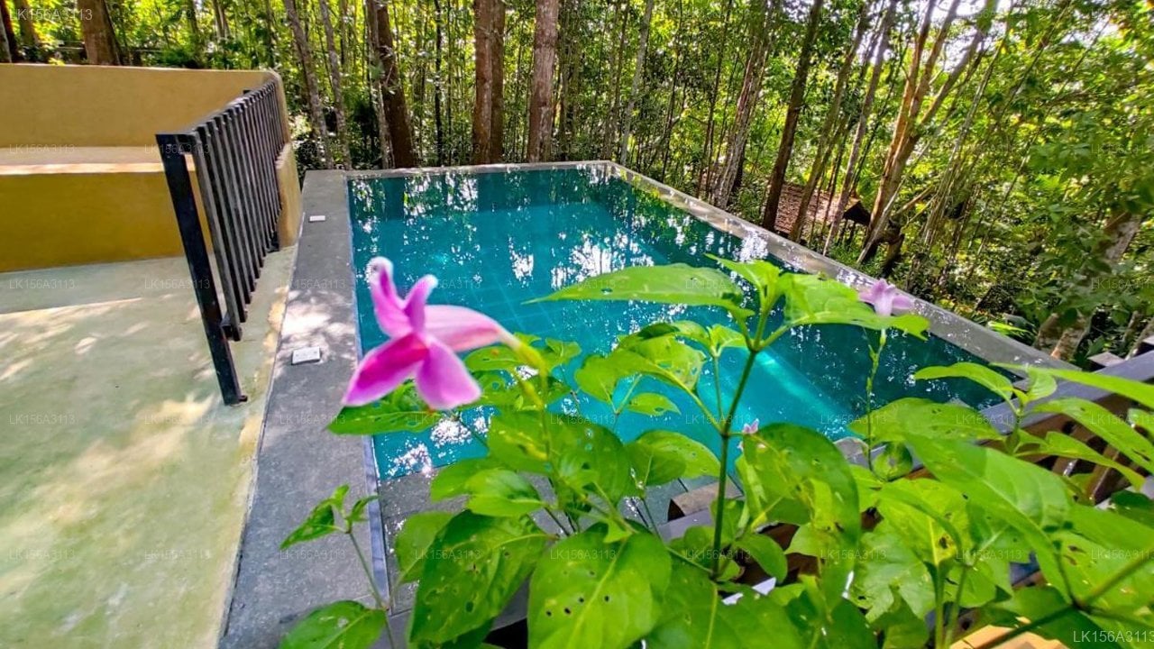 Citron Villa