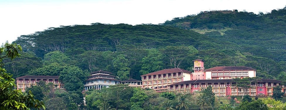Amaya Hills