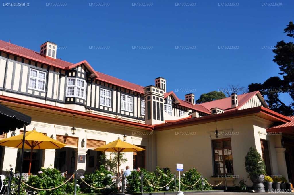 The Grand Hotel
