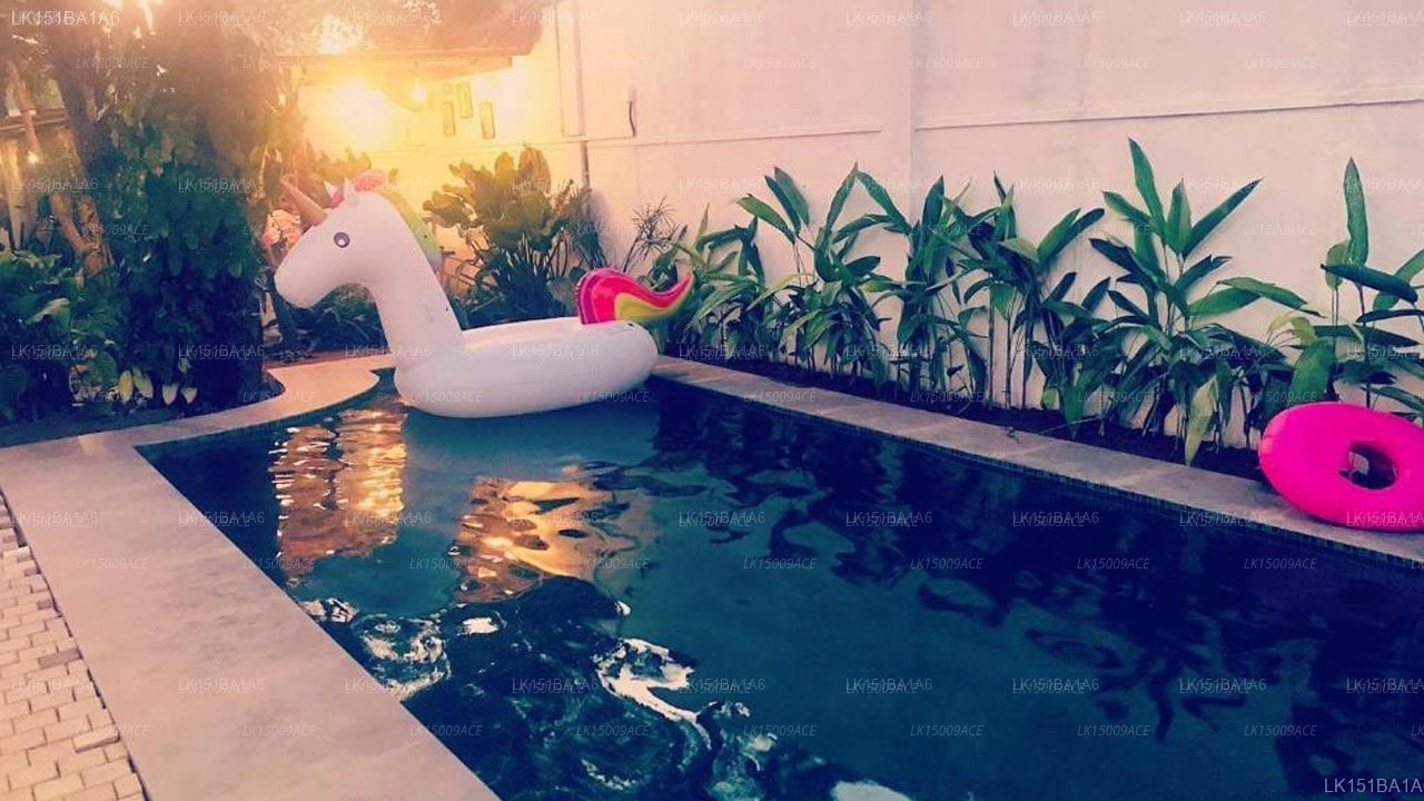 Double Mango Villa
