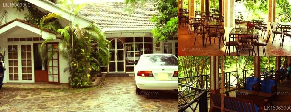 The Plantation Hotel