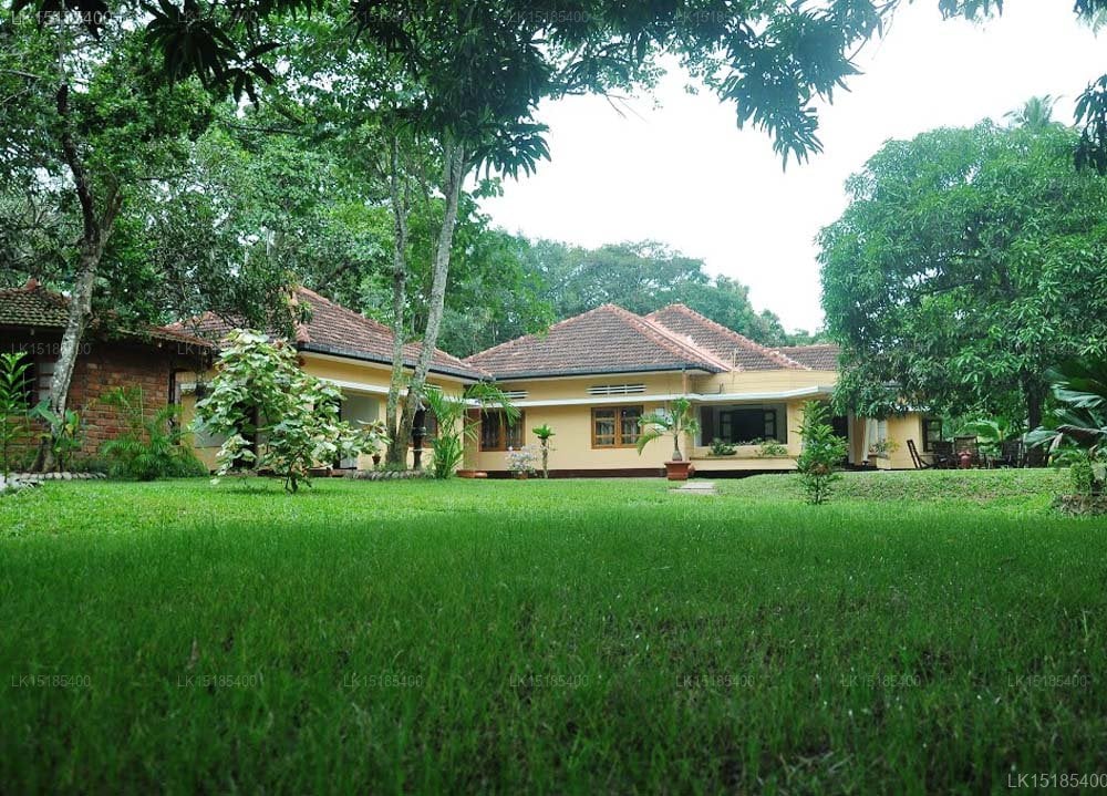 Peacock Villa Ayurveda Garden