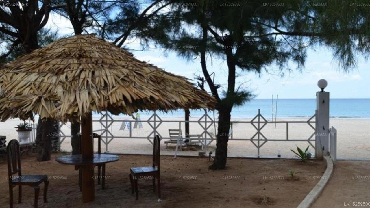 Silver Beach