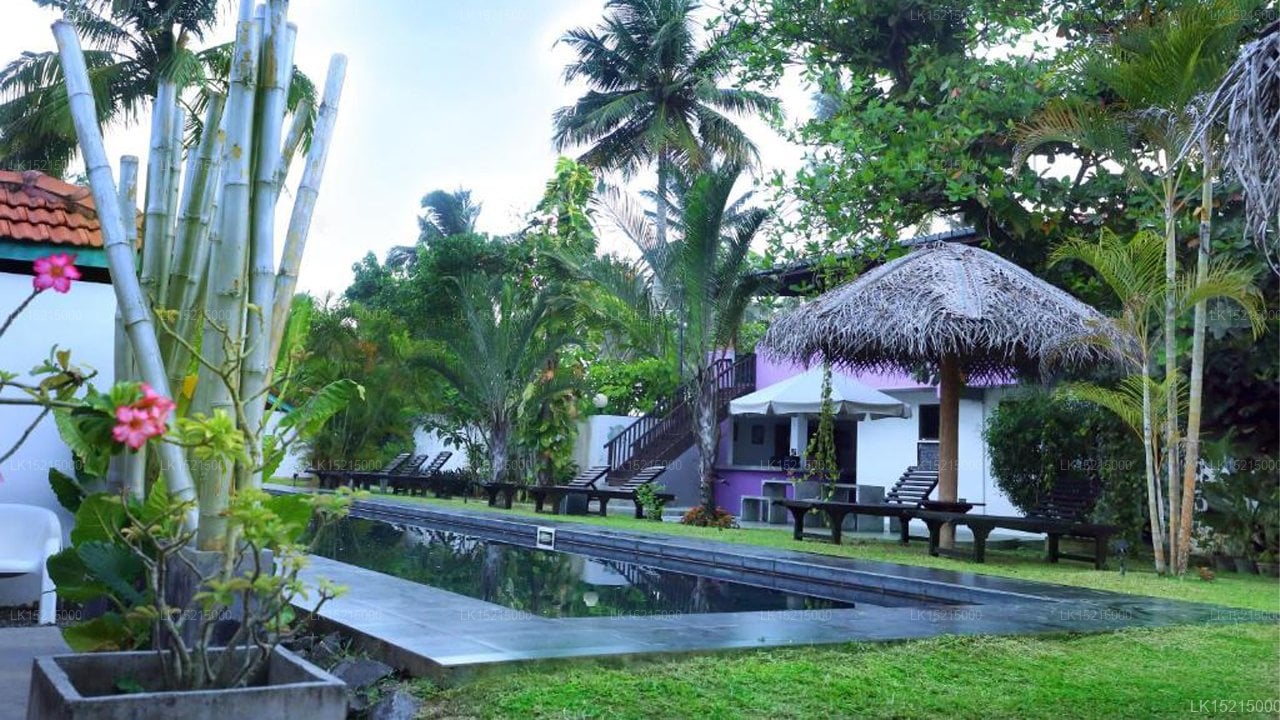 Turtle Eco Beach