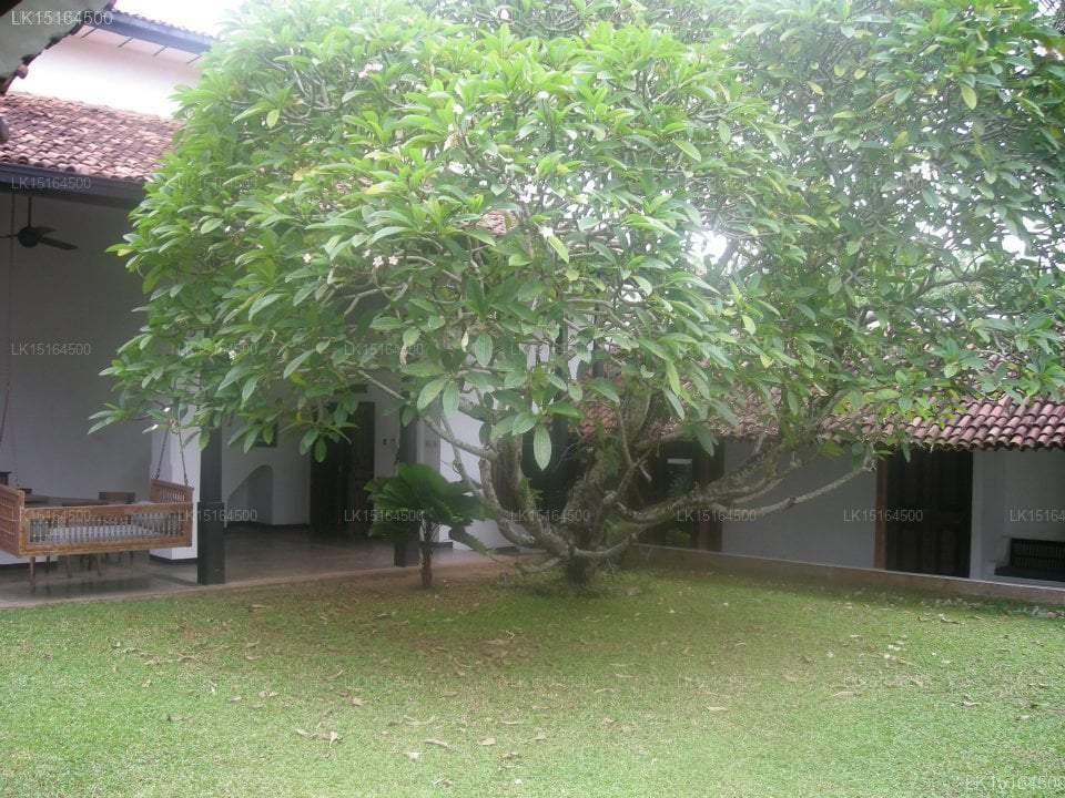 The Villa Exotica