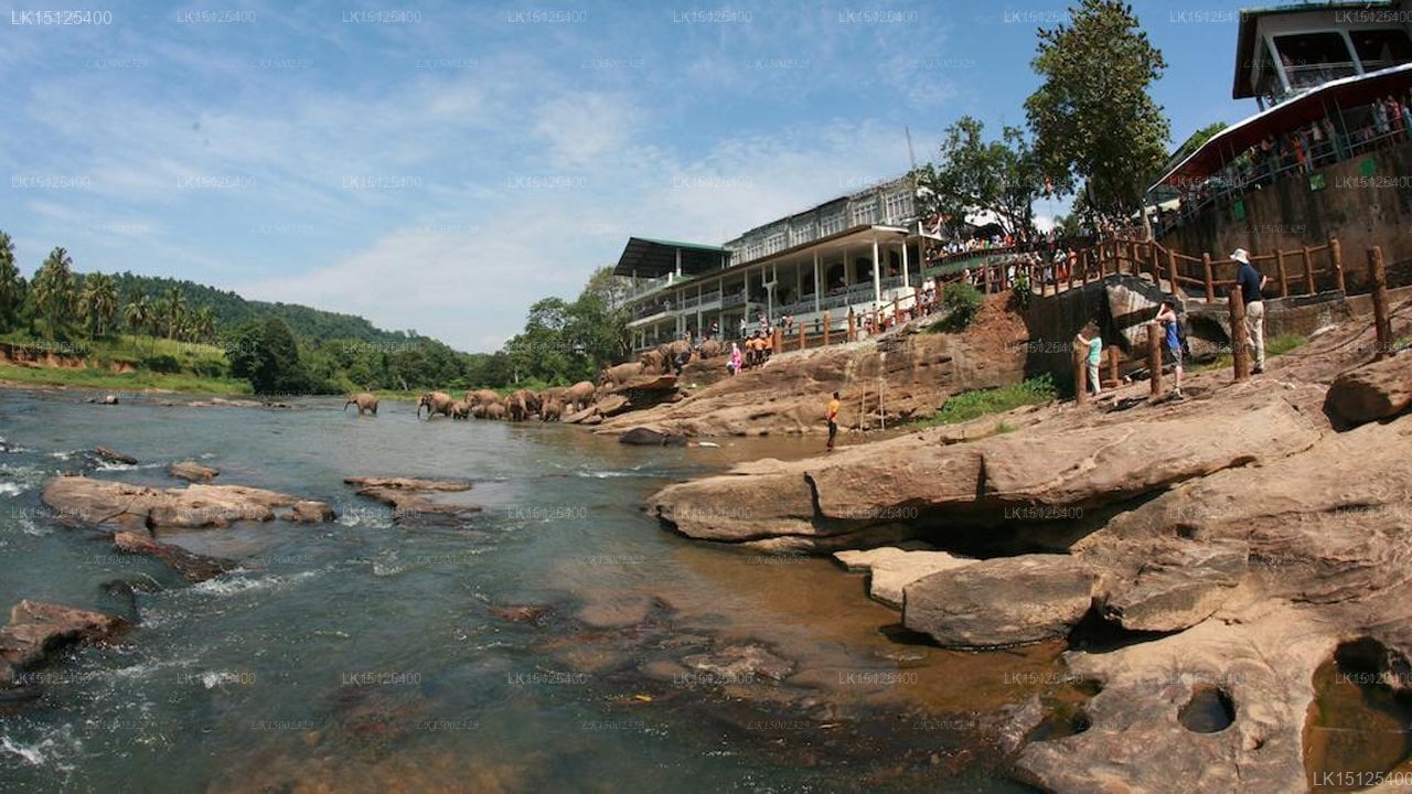 Ralidiya Hotel