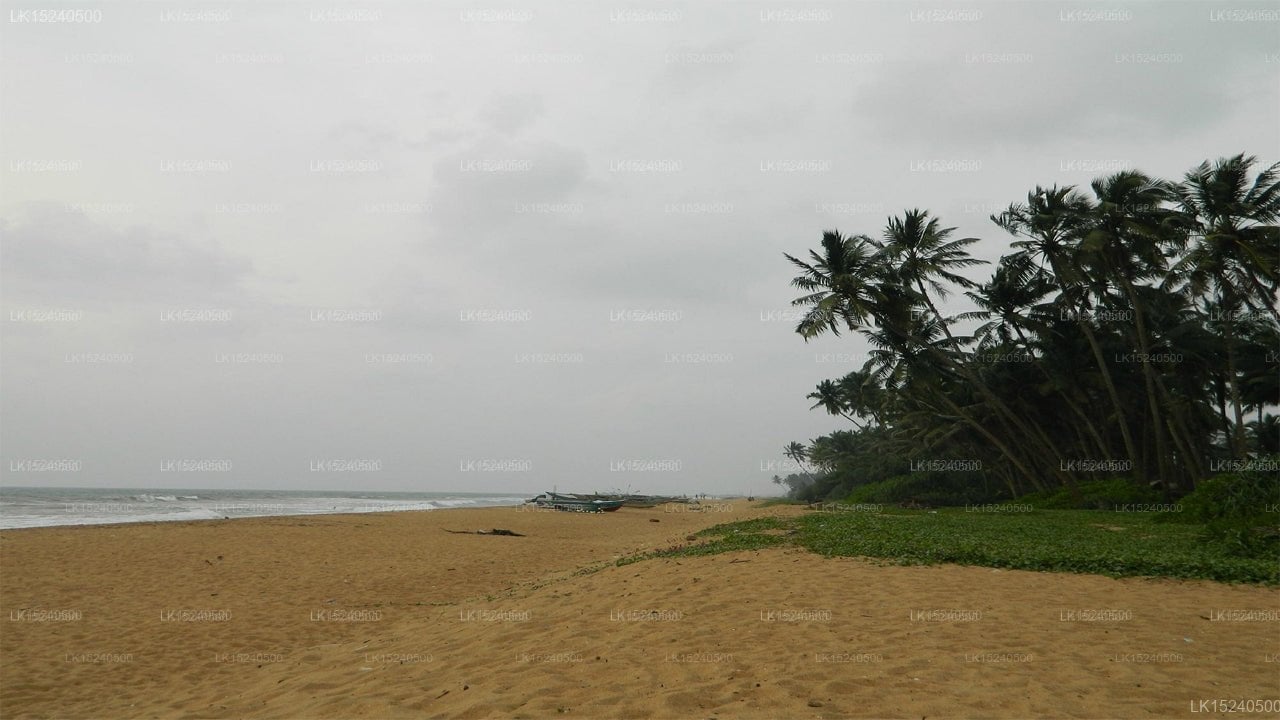 Green Shadows Beach Hotel