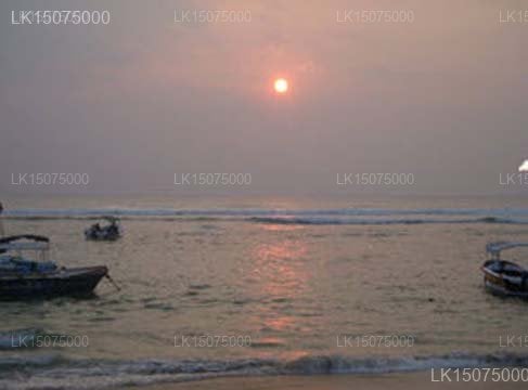 Coral Reef Beach Hotel