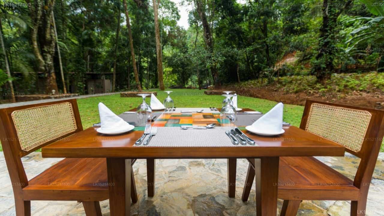Palm Stone Retreat