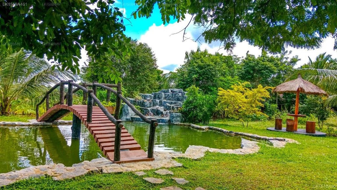 Ceylon Amigos Eco Resort