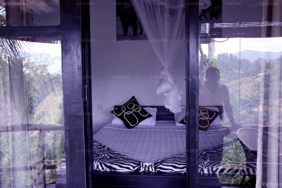 Idyll Homestay