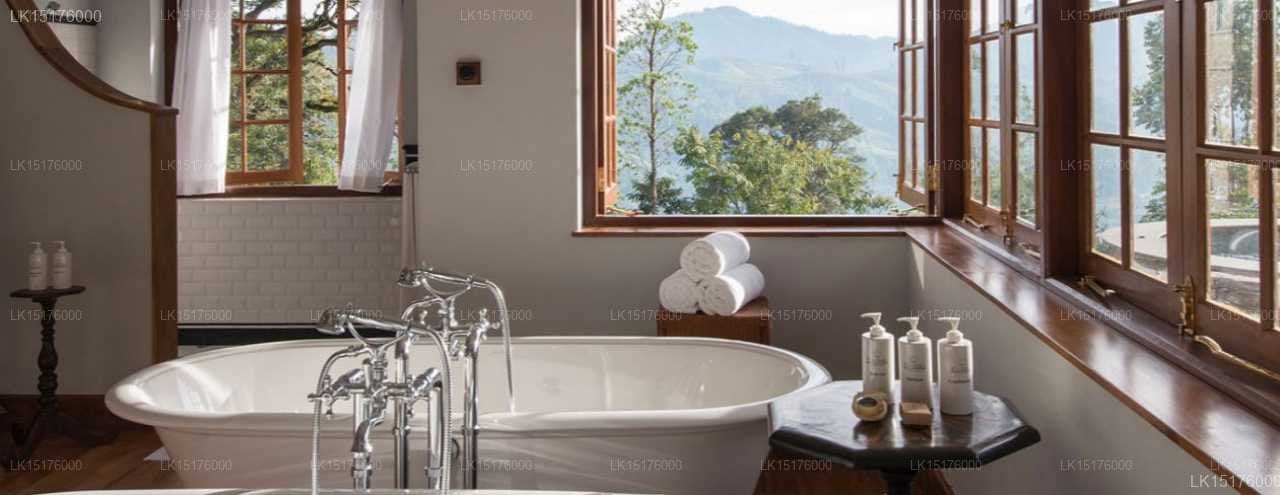 Ceylon Tea Trails