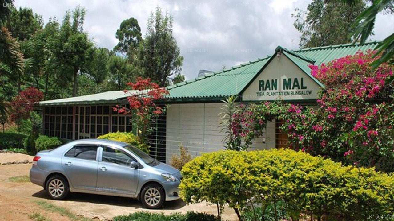 Ranmal Tea Plantation Bungalow