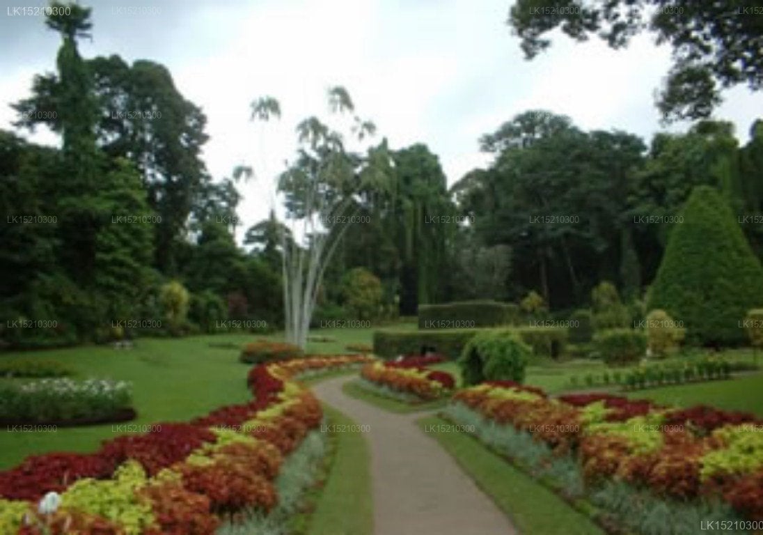 Jasmine Hill House