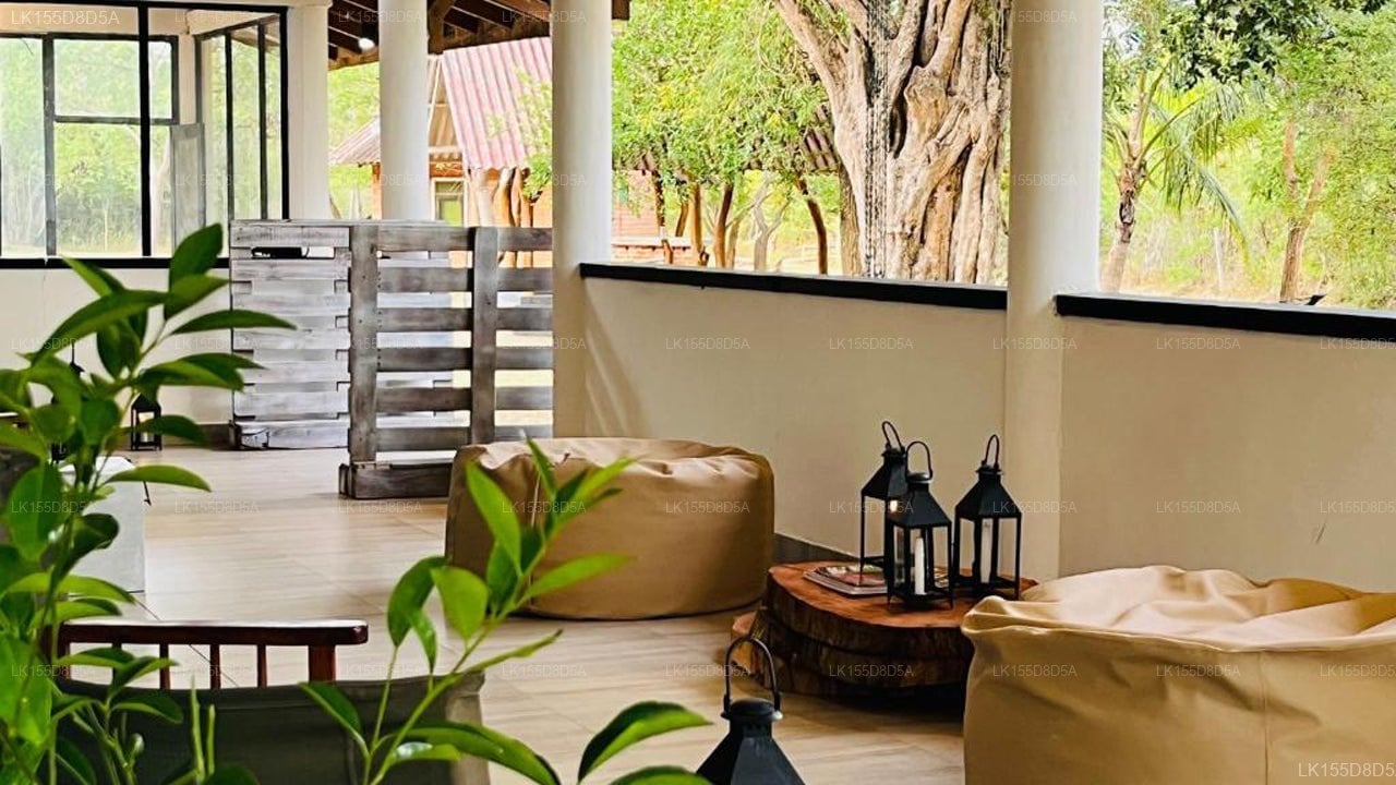 Funky Leopard Safari Lodge