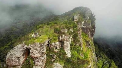 Gongala