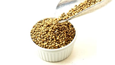 Coriander