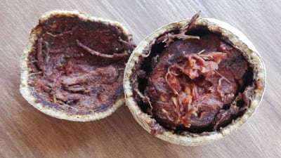Rambutan