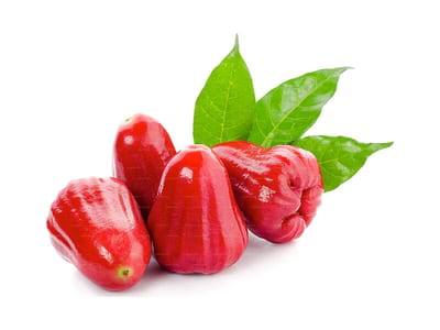 Jambu