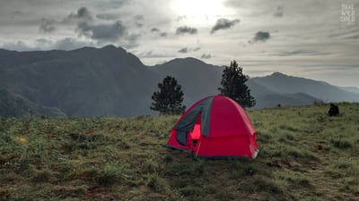 Camping from Colombo