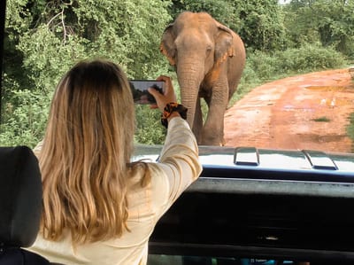 Udawalawe
