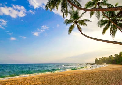 Mount Lavinia