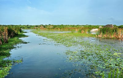 Kalametiya