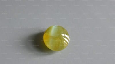 Cat’s Eye
