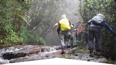Hiking from Sinharaja