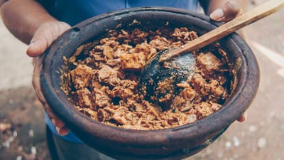 Baby Jackfruit Curry