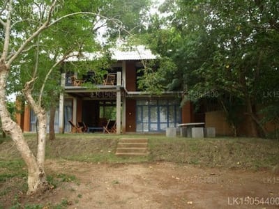 Wapi - modern wooden house surrounded by lush green trees and vegetation